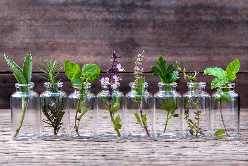 Integrative Medicine