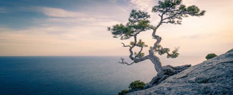 What is Mindfulness? A Psychologist Explains.